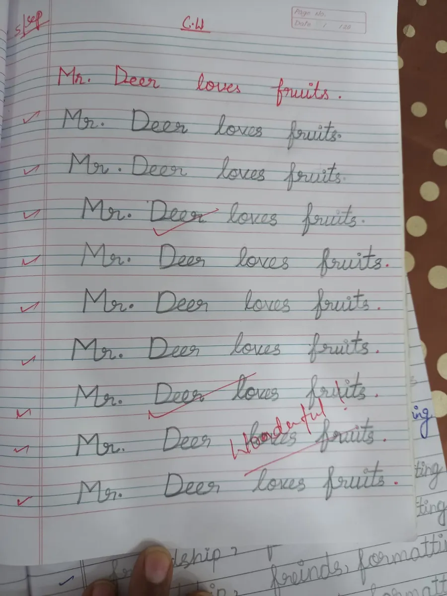 Notebook page of repeated sentences with ticks in red ink